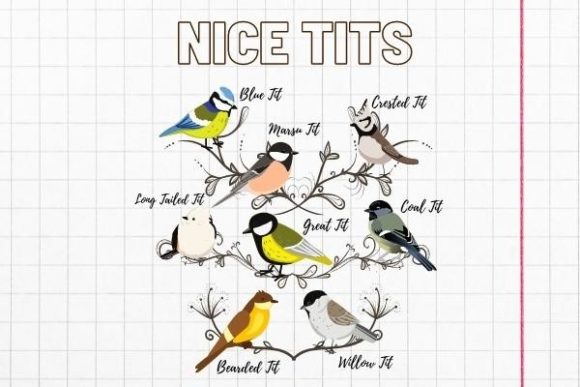 Download Nice Tits, Birdwatching Lover - Lover Collection